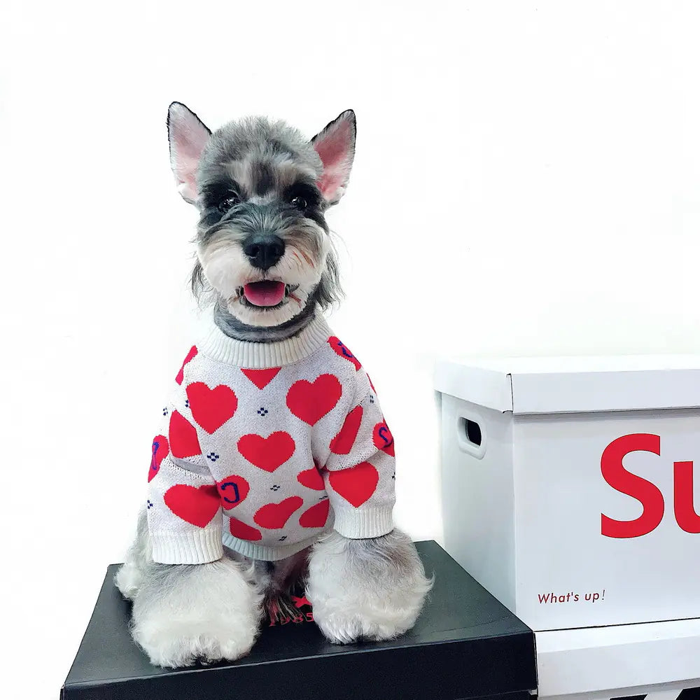 Schnauzer Teddy Love Sweater for Dogs and Cats