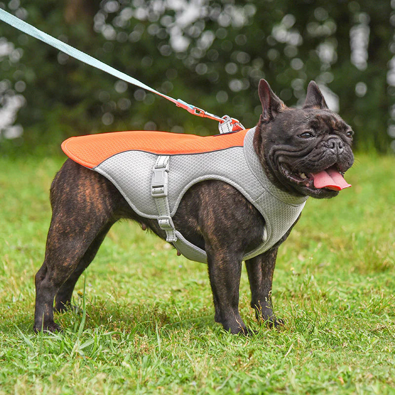 Cooling Vest for Dogs Pets