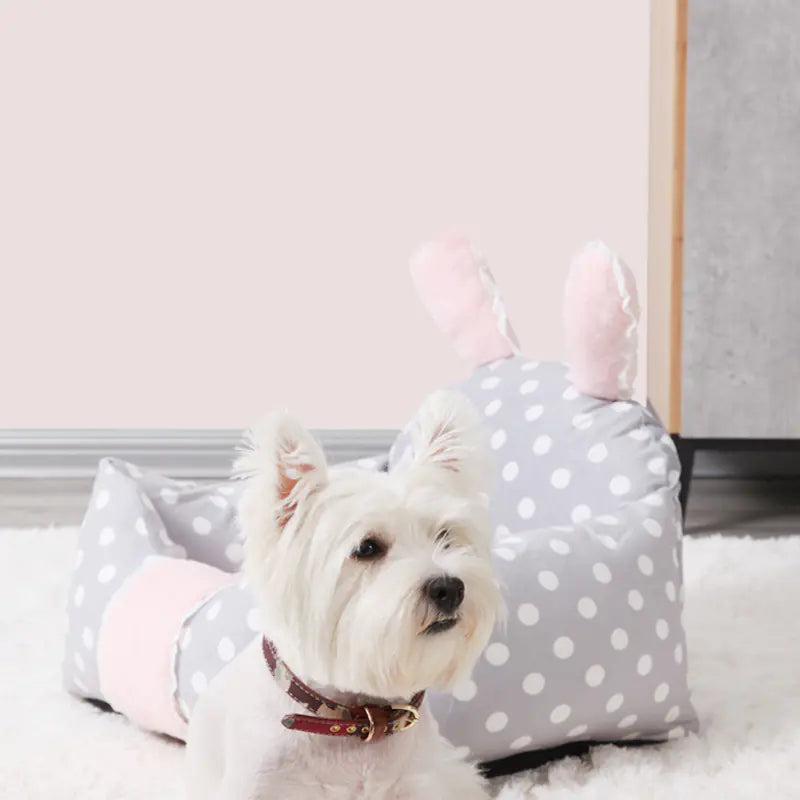 Universal Dog and Cat Bed with Washable Cushion for Pets