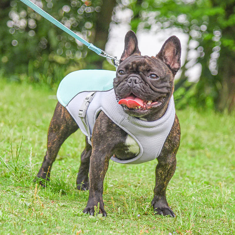 Cooling Vest for Dogs Pets