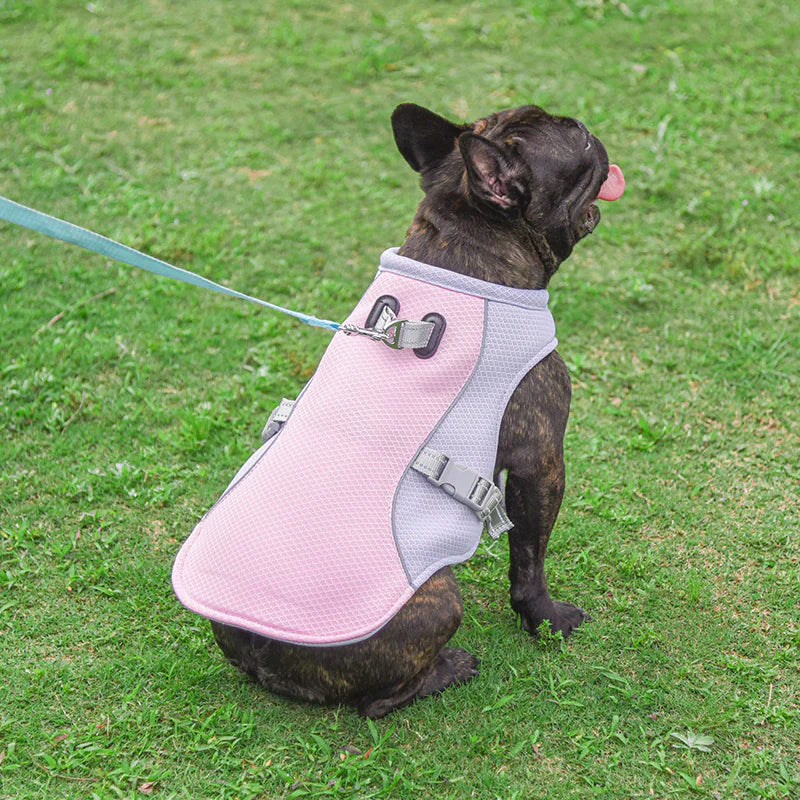 Cooling Vest for Dogs Pets