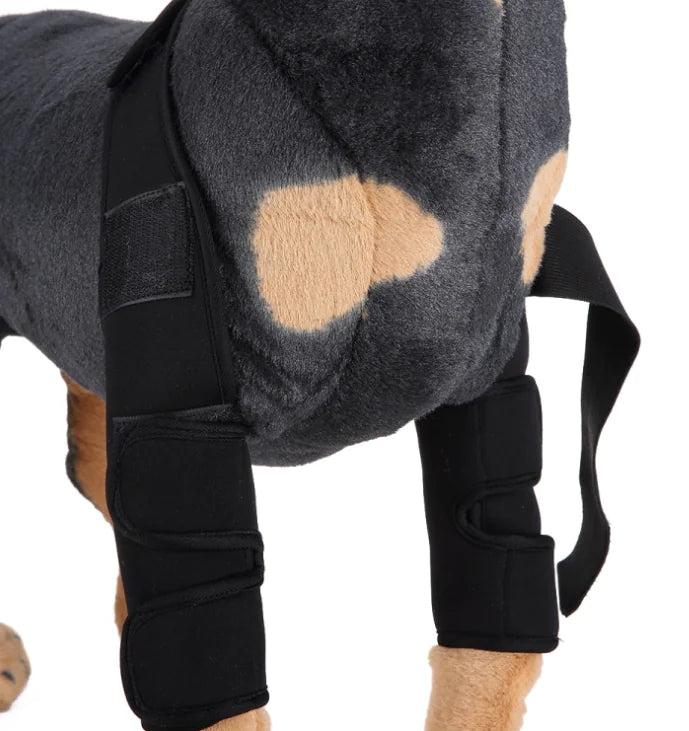 Dog Knee Brace and Leg Protector for Injury Recovery