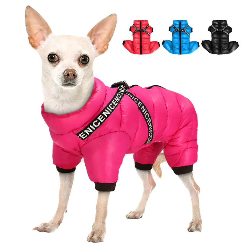 Winter Clothes for Dogs and Cats - Teddy, Pomeranian, Schnauzer