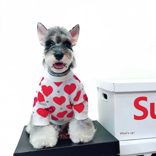 Schnauzer Teddy Love Sweater for Dogs and Cats